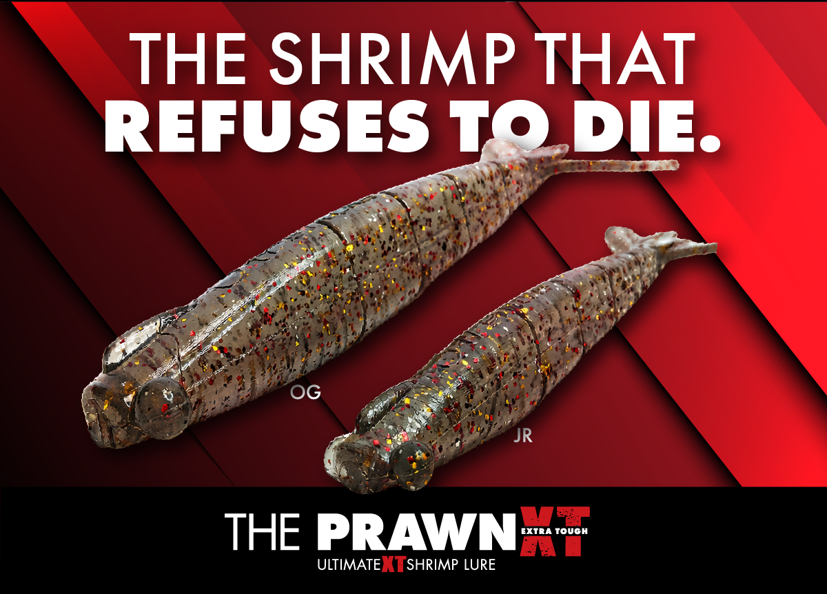 Prawn XT OG (4.3")