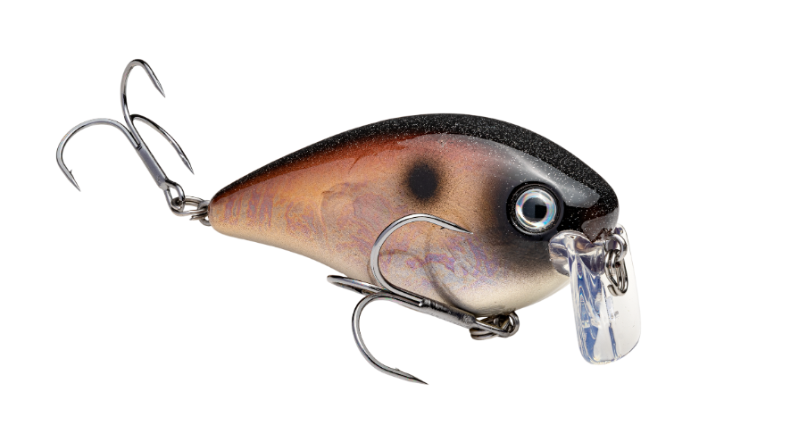 Strike King KVD 2.5" Wake Bait