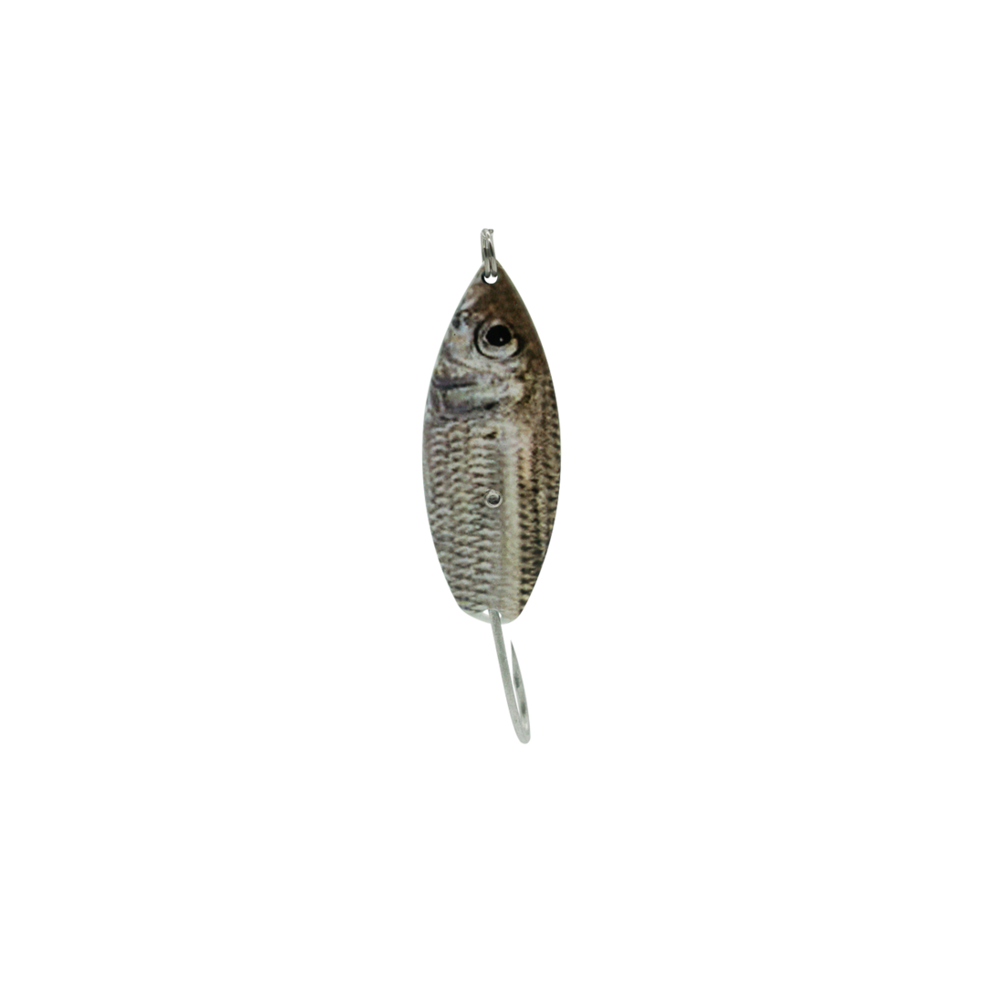 aqua spoon fishing lure minneapolis mn Aqua Dream Weedless Spoons – Salt Strong