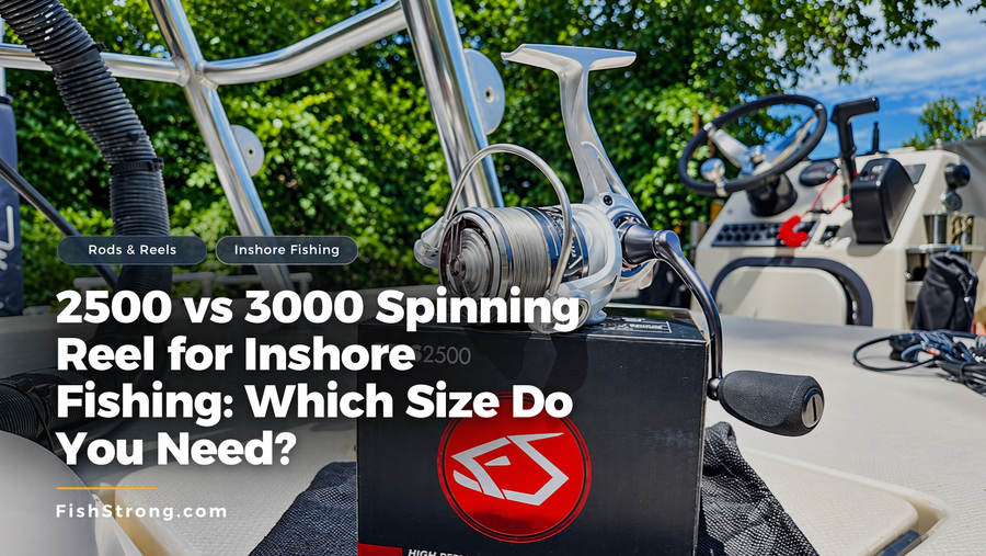 2500 vs 3000 Spinning Reel for Inshore Fishing: Which Size Do You Need?