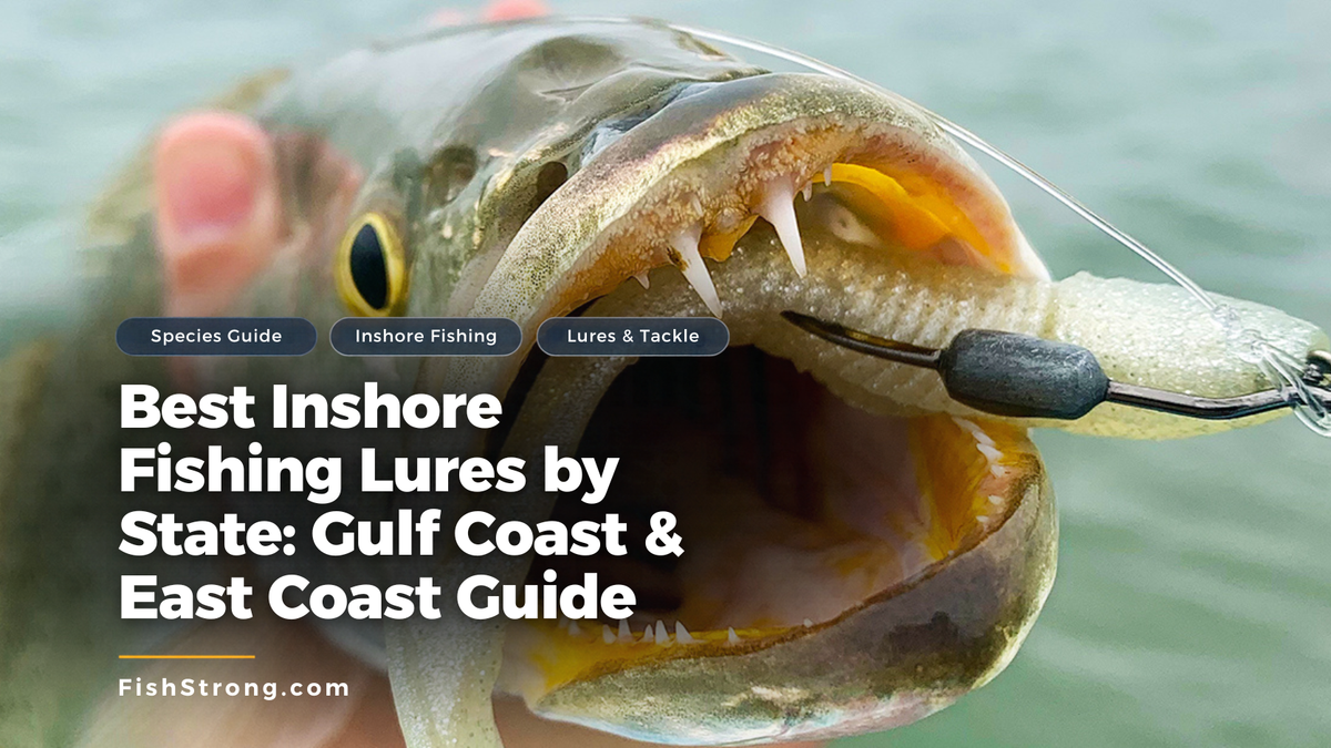 Best Inshore Fishing Lures by State | Fish Strong – Salt Strong