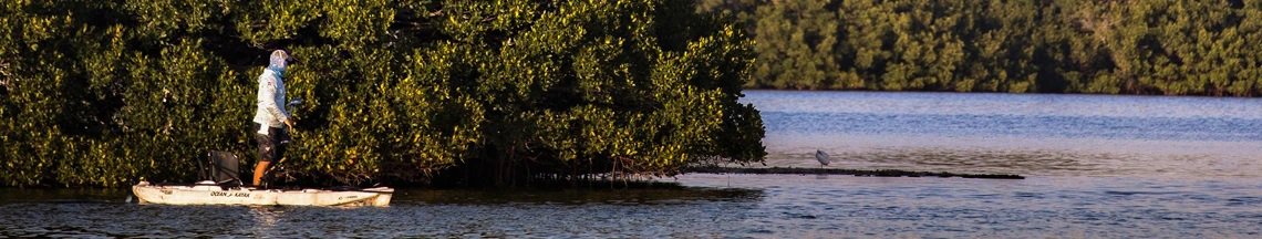 Salt Strong Pre-Order Shirts and Hoodies