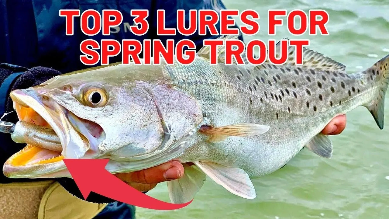 Top Spring Lures For Speckled Trout