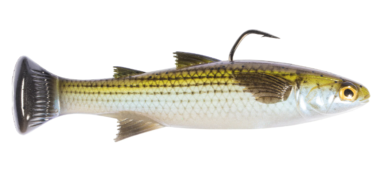 Pulse Tail Mullet RTF - Saltwater Soft Lure, Swimbaits