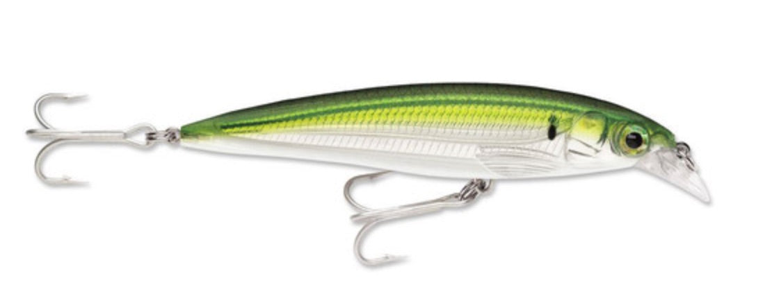 Rapala X-Rap Saltwater 10