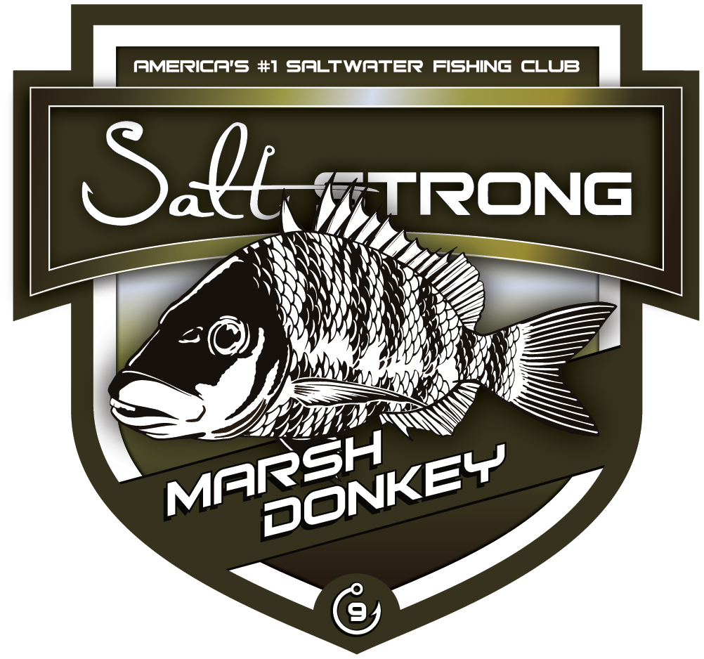 Accessories – Salt Strong