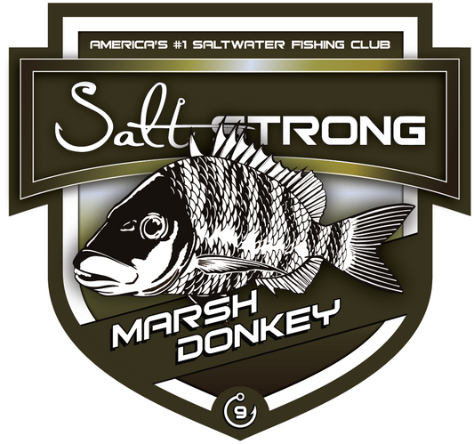 Salt Strong Marsh Donkey Decal