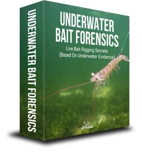 Underwater Bait Forensics Course